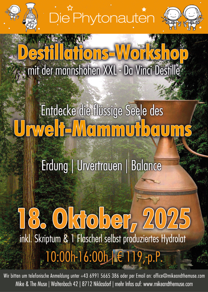Destillations Workshop Mammutbaum